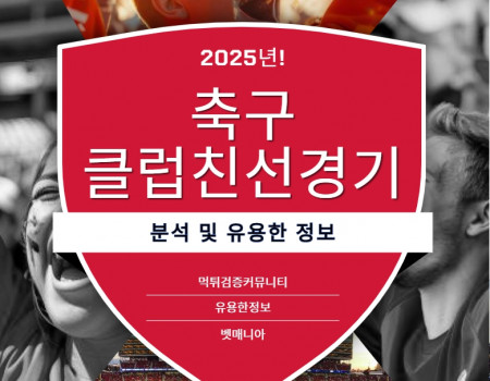 2025년 축구 클럽친선경기 분석 팁