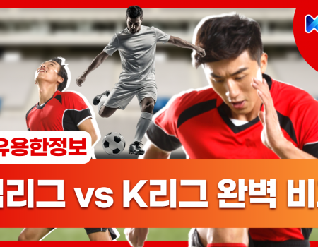 유럽리그 vs K리그 완벽 비교