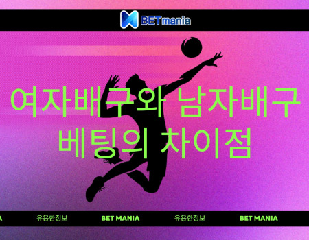 여자배구와 남자배구 베팅의 차이점