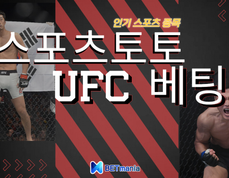 스포츠토토 UFC 베팅이란?