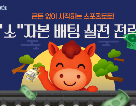 큰돈 없이 시작하는 스포츠토토 소액배팅 실전 전략