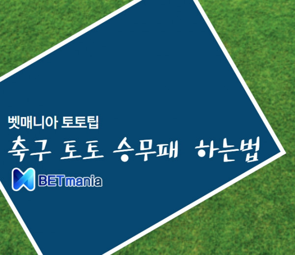 축구 토토 승무패 하는 법